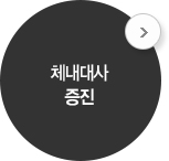 체내대사 증진